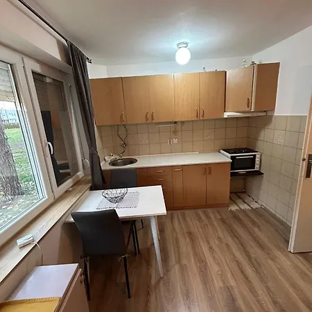 Borkica 아파트 믈라데노바츠